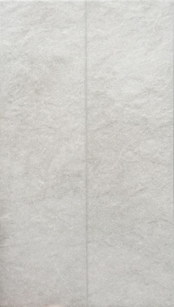 COTTO Gray Light Valencia 12X24 FT Floor Tile